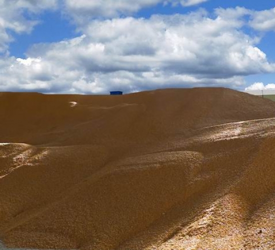臺安稷豐糧食經(jīng)銷(xiāo)有限公司